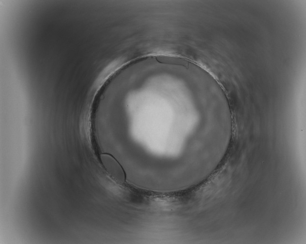 X0000111140199200907141328