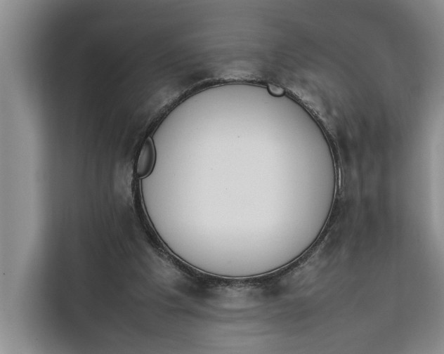 X0000111140201200907141328