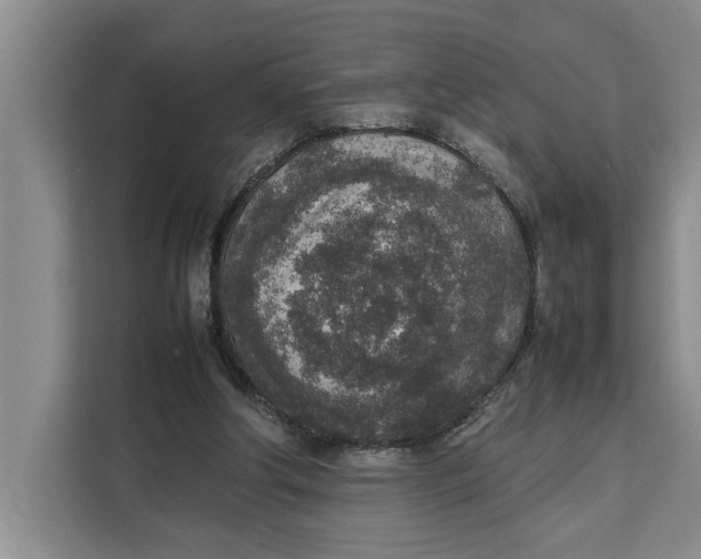 X0000111140202200907141328