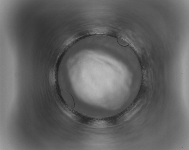 X0000111140203200907141328