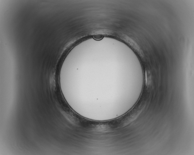 X0000111140204200907141328