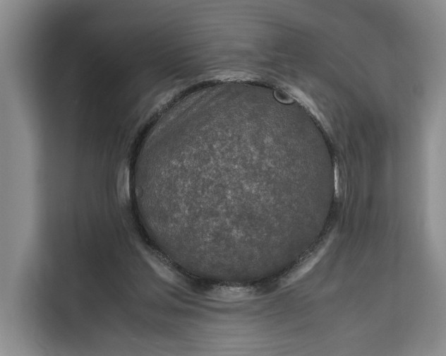 X0000111140205200907141328