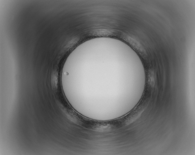 X0000111140206200907141328