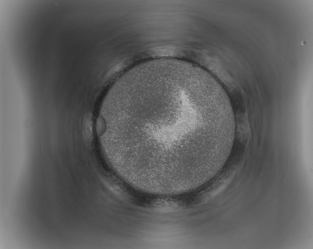 X0000111140207200907141328