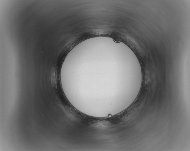 X0000111140210200907141328