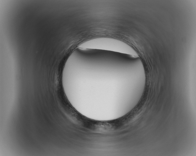 X0000111140215200907141328