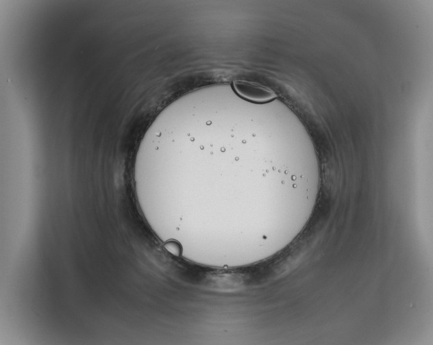 X0000111140221200907141328