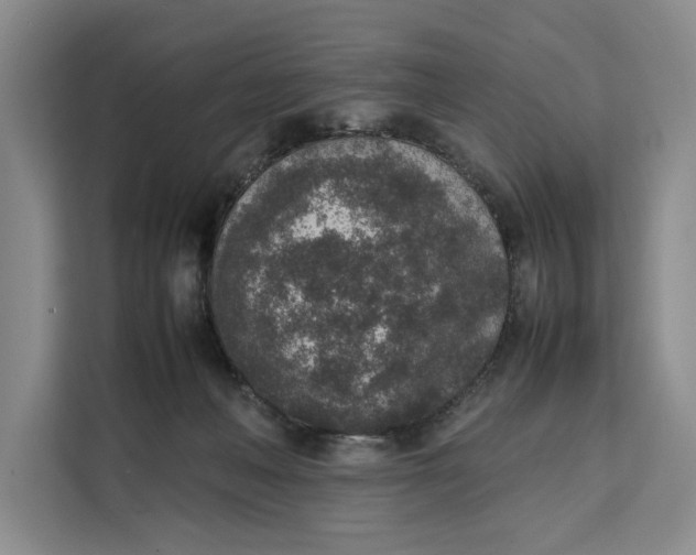 X0000111140222200907141328