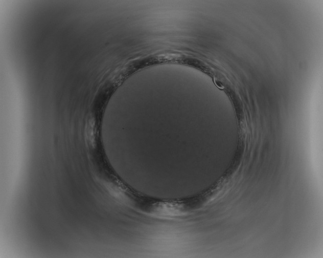 X0000111140223200907141328