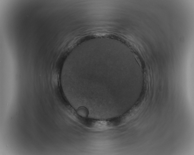 X0000111140227200907141328