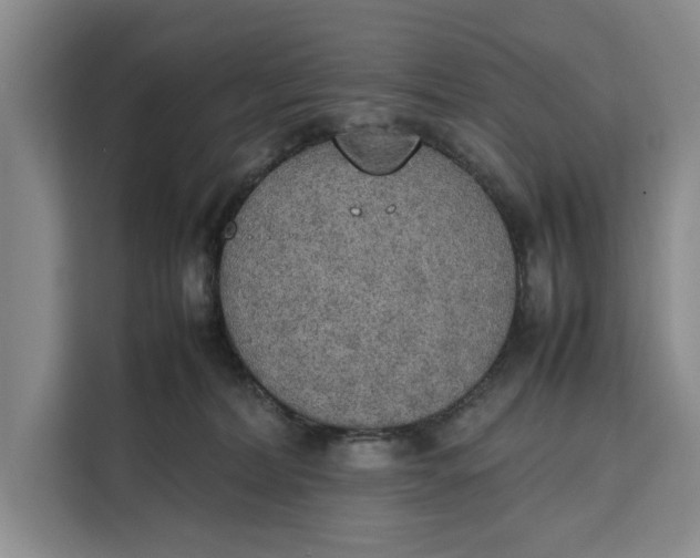 X0000111140228200907141328