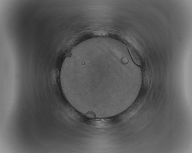 X0000111140229200907141328