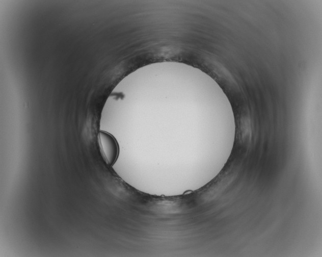 X0000111140236200907141328