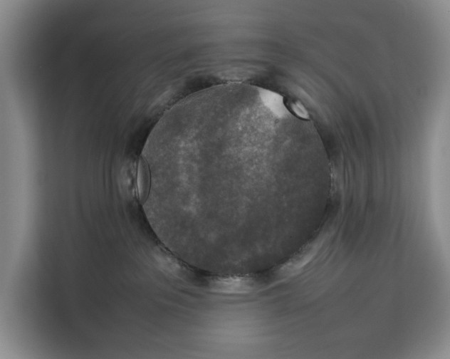 X0000111140237200907141328