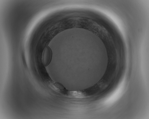 X0000111140239200907141327