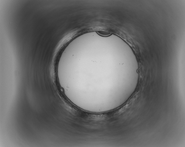 X0000111140245200907141327