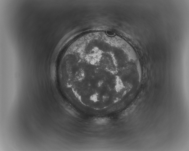 X0000111140247200907141327