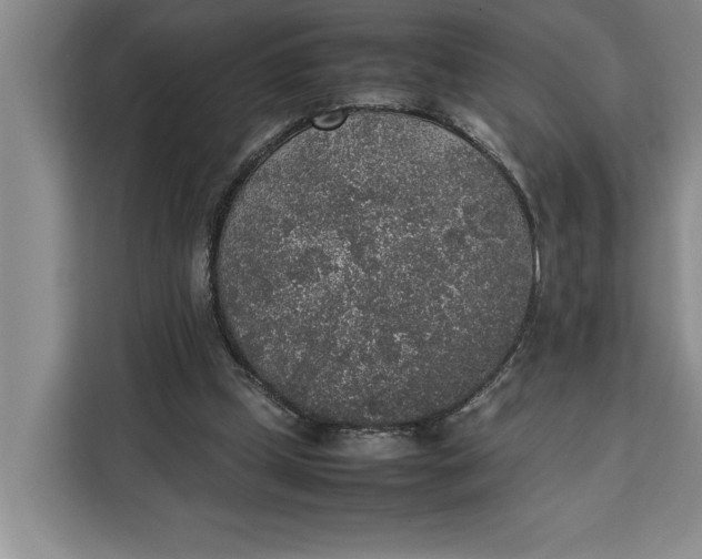 X0000111140249200907141327