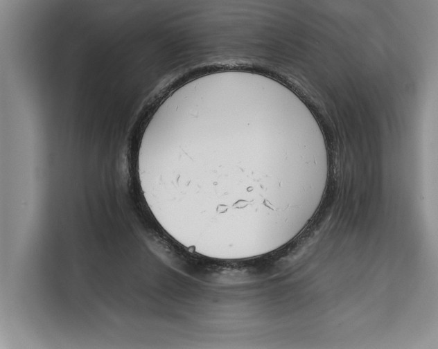 X0000111140256200907141327