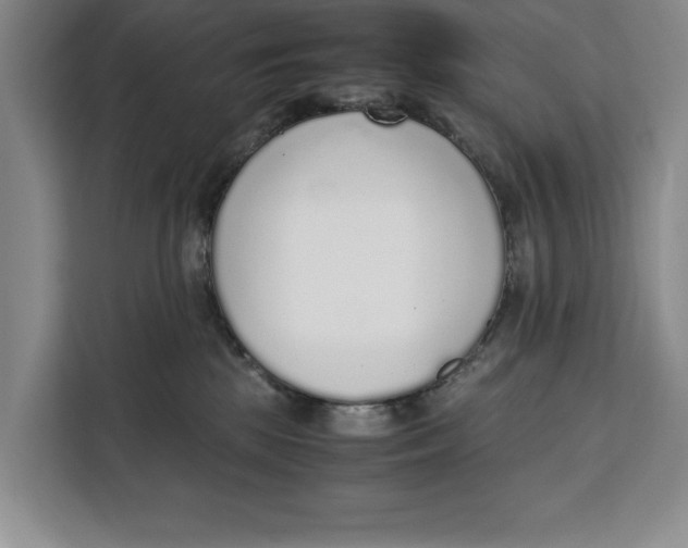 X0000111140281200907141327