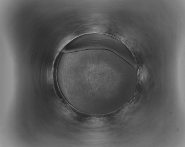 X0000111140292200907141327