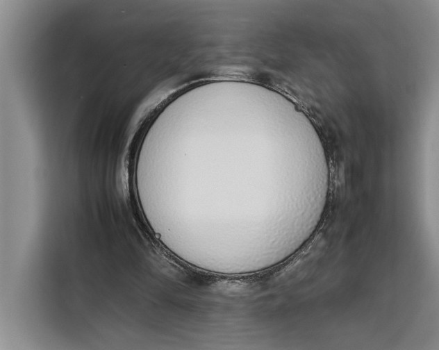 X0000111140294200907141327