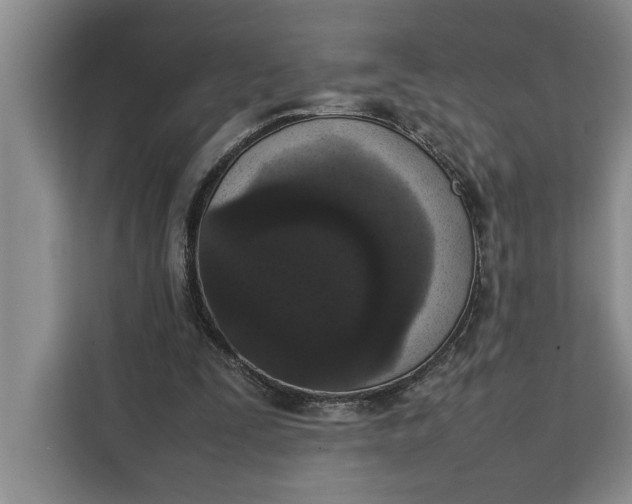 X0000111140295200907141327