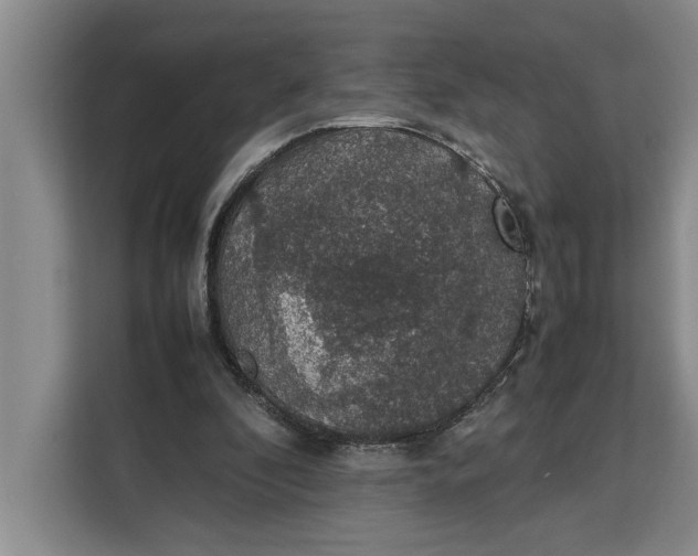 X0000111140296200907141327