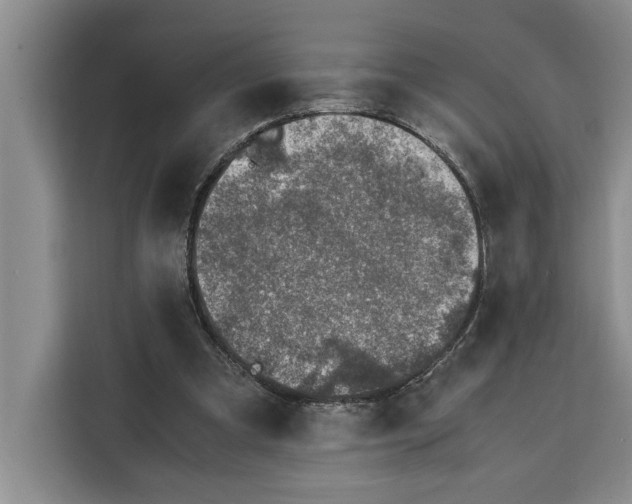 X0000111140297200907141327