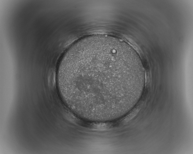 X0000111140301200907141327