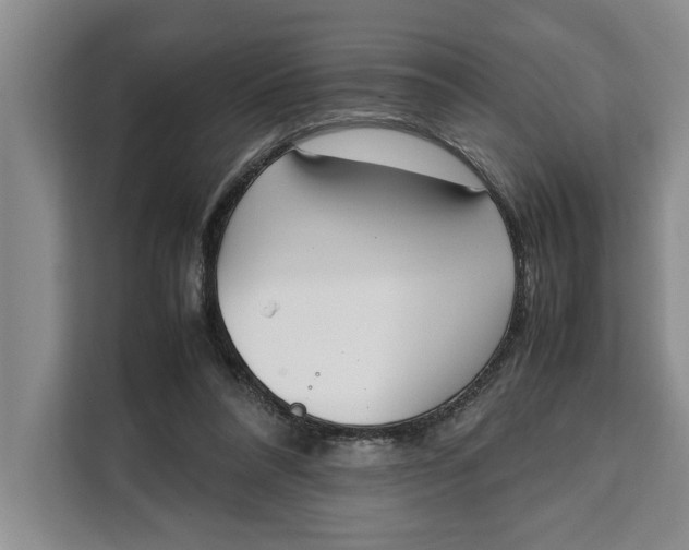 X0000111140304200907141327