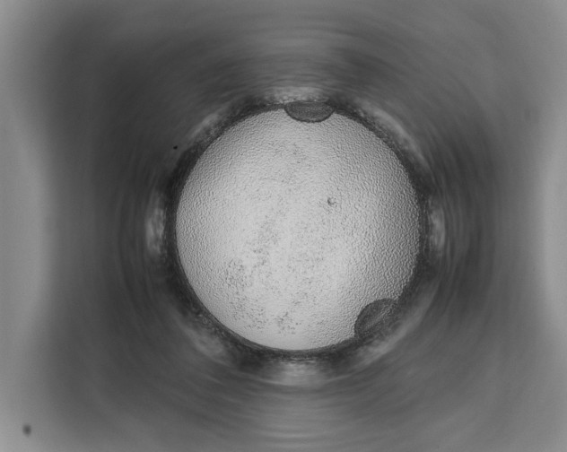 X0000111140308200907141327