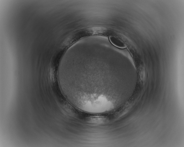 X0000111140316200907141326