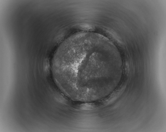 X0000111140320200907141326