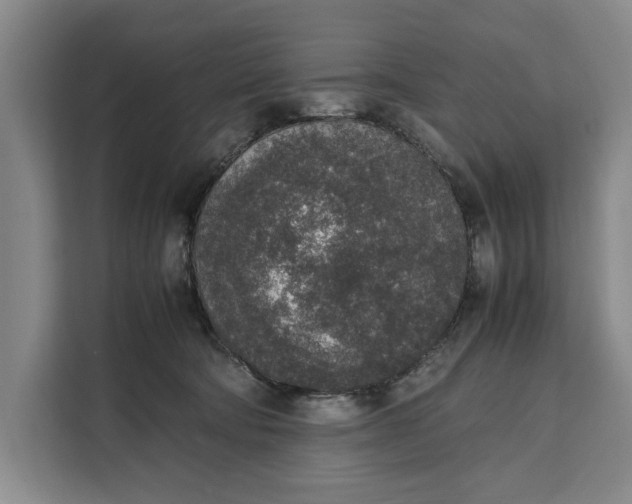 X0000111140322200907141326