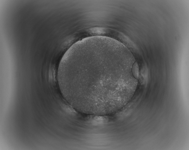 X0000111140330200907141326