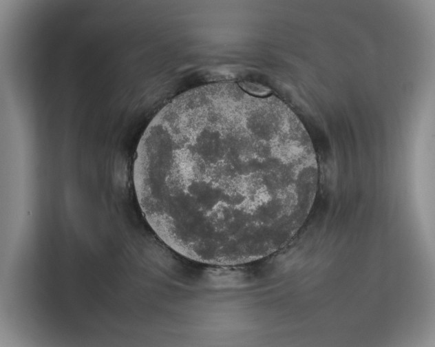 X0000111140331200907141326