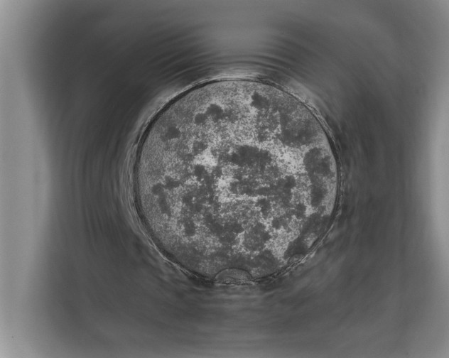 X0000111140337200907141326