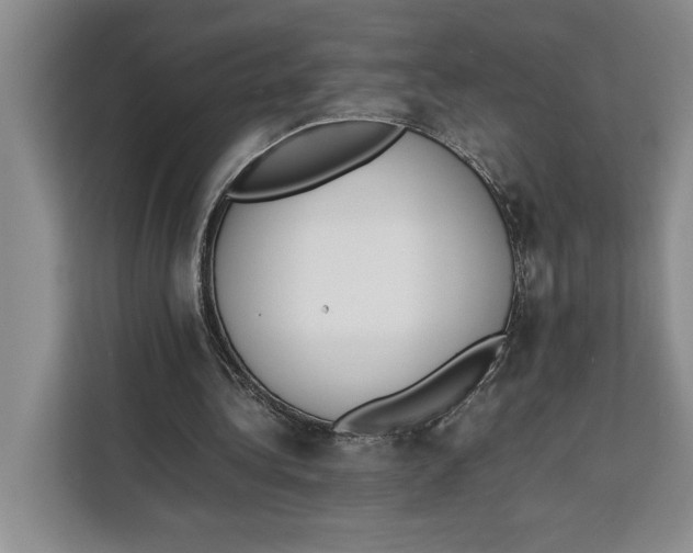 X0000111140340200907141326