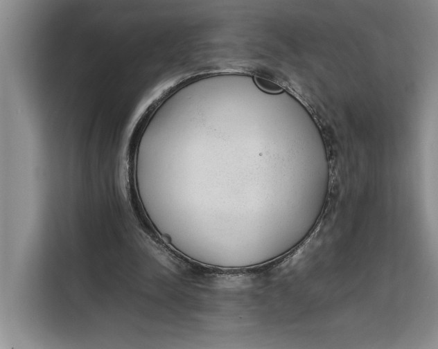 X0000111140342200907141326