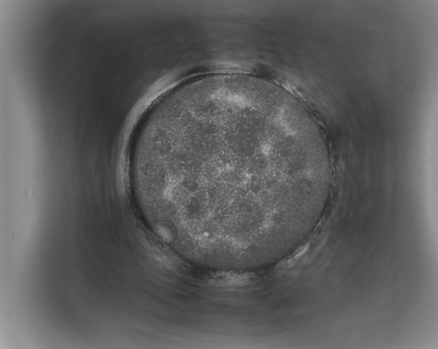 X0000111140343200907141326