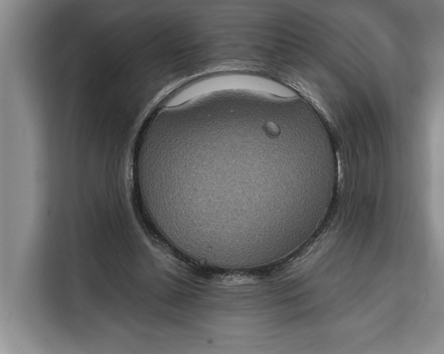 X0000111140348200907141326