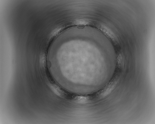 X0000111140352200907141326