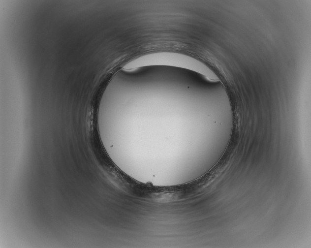 X0000111140356200907141326