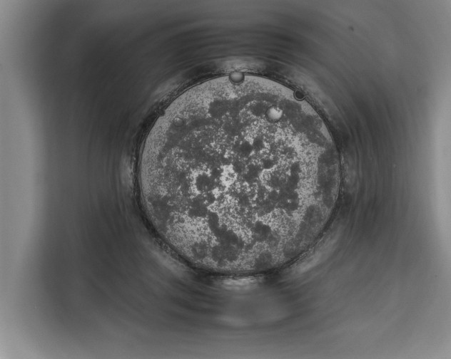 X0000111140357200907141326