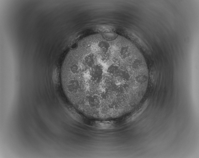 X0000111140359200907141326