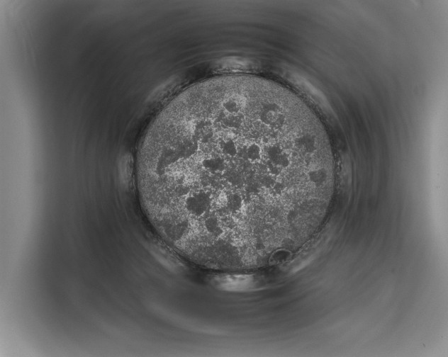 X0000111140361200907141326