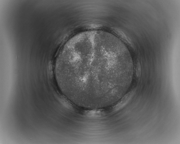 X0000111140366200907141326