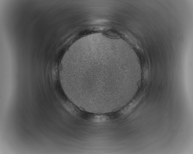 X0000111140376200907141326