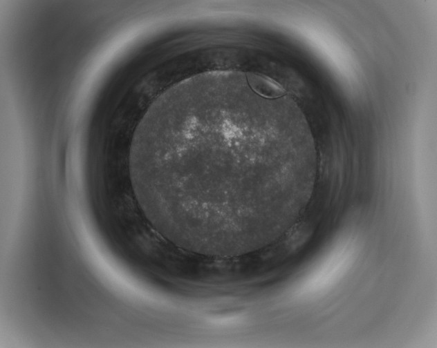 X0000111140383200907141326